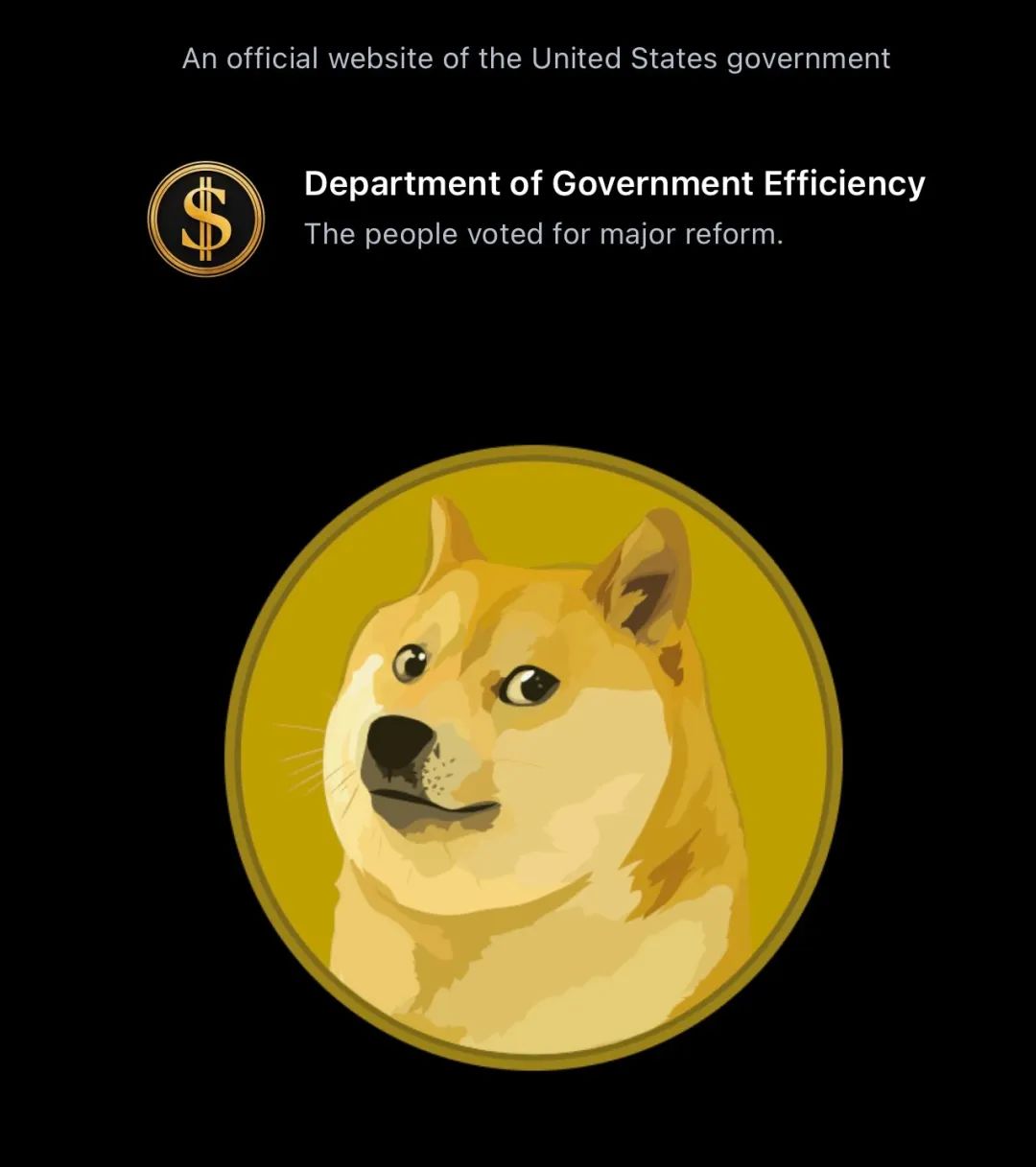 doge钱包下载(dogecoin官方钱包)