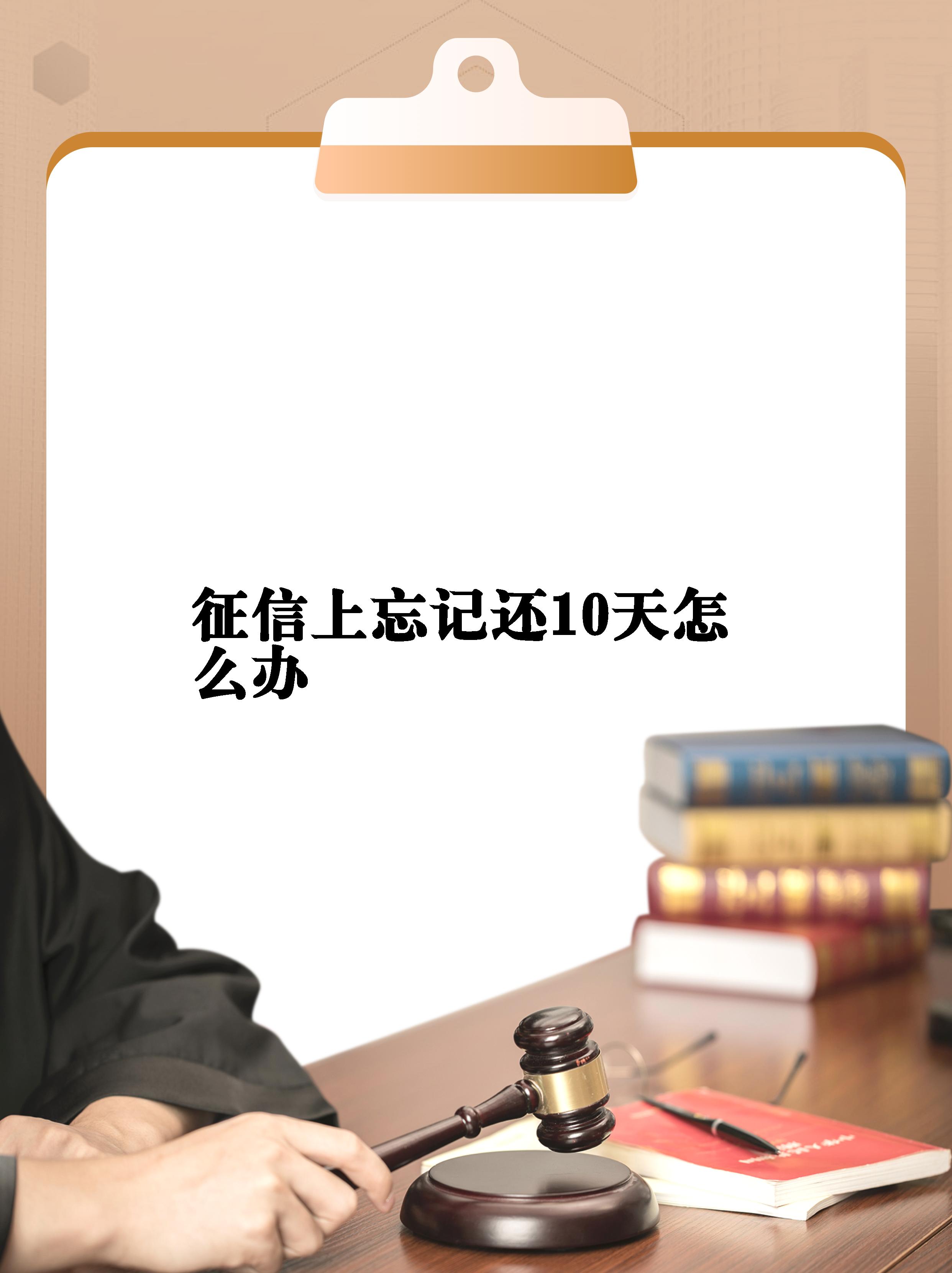 征信帐号忘记怎么办(征信帐号忘记怎么办理)