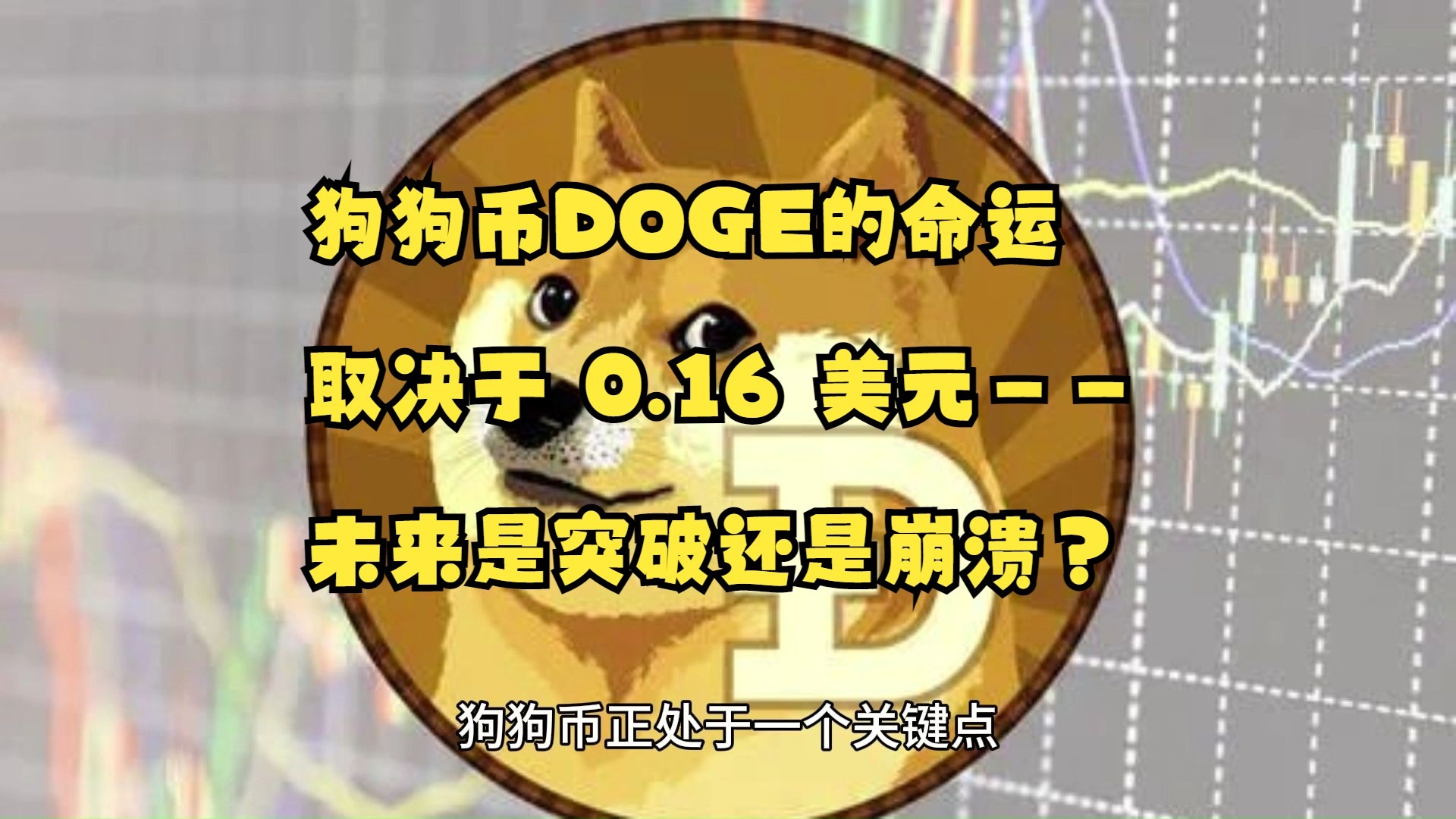 doge今日行情(doge最近行情)