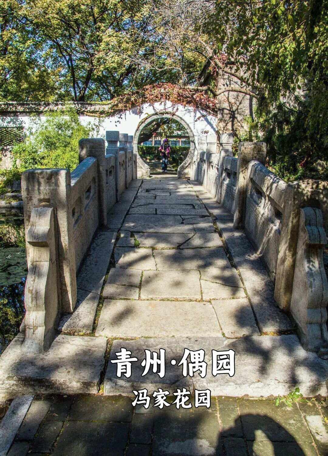 山东旺盛园林怎么样(山东旺盛源物资有限公司)