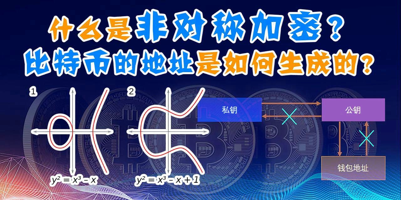 提币的哈希值哪里查(提币时哈希值什么时候生成)