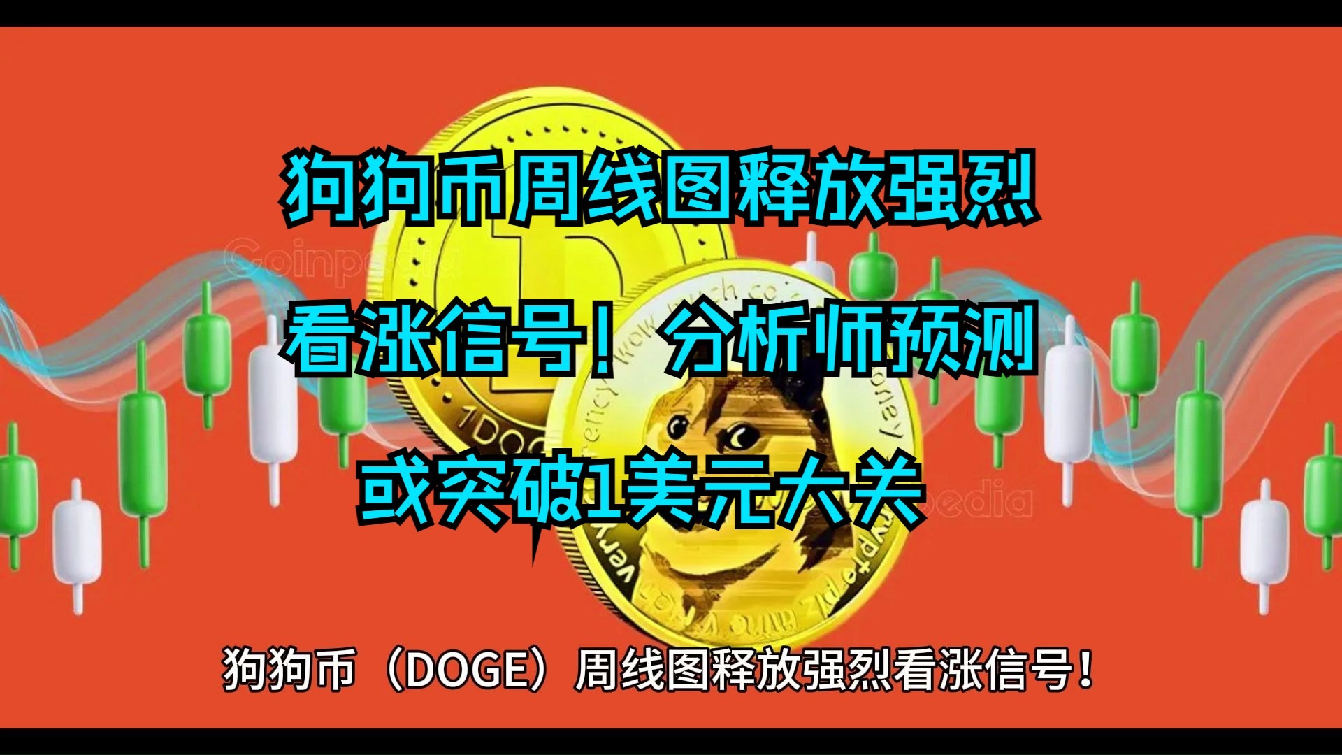 doge今日行情(doge今日实时行情)