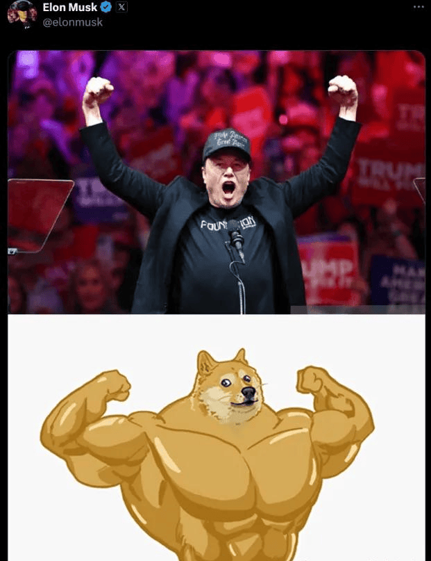 doge吧(dogeball)