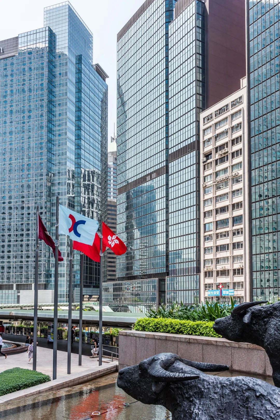 香港交易所(香港交易所支持t+1结算)