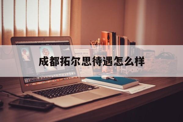成都拓尔思待遇怎么样(拓尔思是国企吗还是私企)