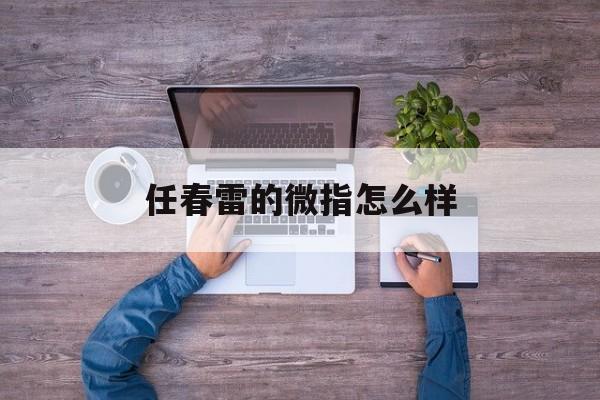 任春雷的微指怎么样的简单介绍