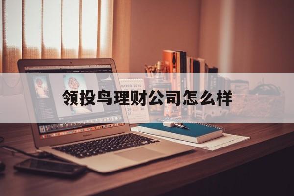 领投鸟理财公司怎么样(领投鸟2020执1566)