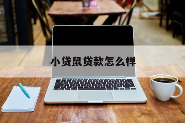 关于小贷鼠贷款怎么样的信息