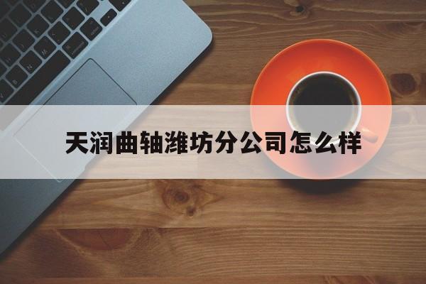 天润曲轴潍坊分公司怎么样(潍坊天润曲轴股份有限公司怎么样?)