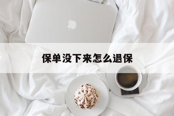 保单没下来怎么退保(保单没拿到) 保单没下来怎么退保(保单没拿到)
