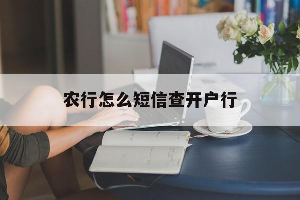 农行怎么短信查开户行(农行短信怎么查开户行支行名称) 农行怎么短信查开户行(农行短信怎么查开户行支行名称)