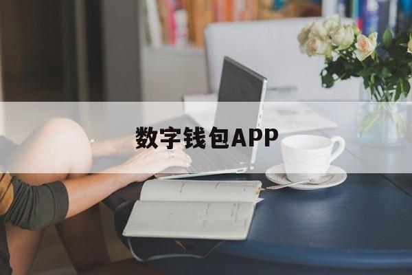 数字钱包APP(中央数字钱包app) 数字钱包APP(中央数字钱包app)